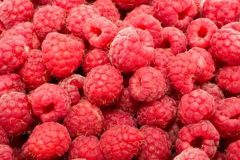 Raspberries Stock Photos