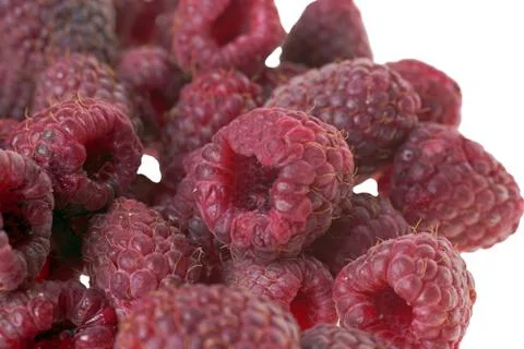 Raspberries Stock Photos