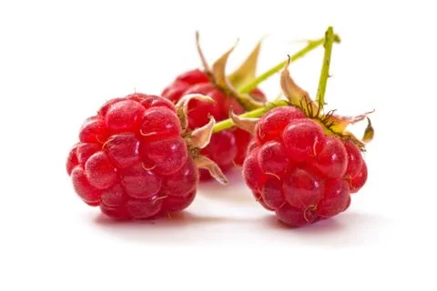 Raspberries Stock Photos