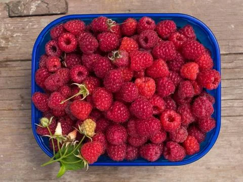 Raspberries Stock Photos