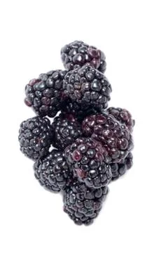 Raspberries Stock Photos