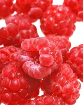 Raspberries Stock Photos