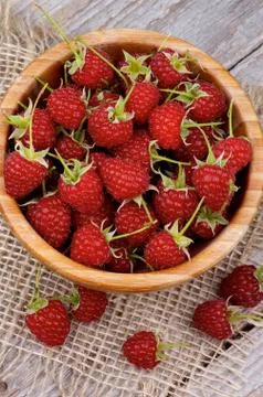 Raspberries Stock Photos