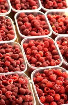 Raspberries Stock Photos