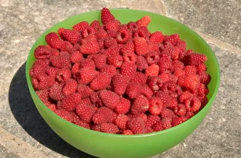Raspberries Stock Photos