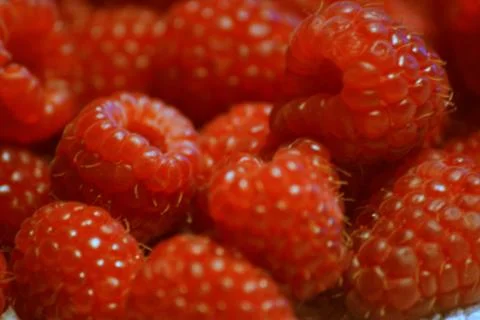 Raspberries Stock-Fotos