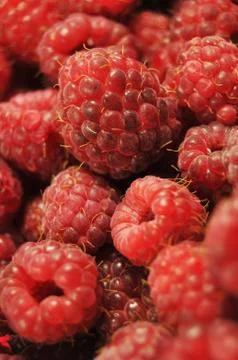 Raspberries Stock Photos