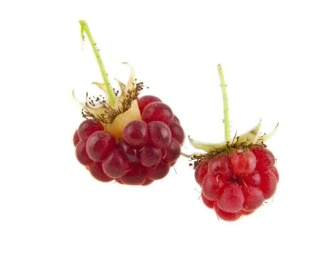 Raspberries Stock Photos
