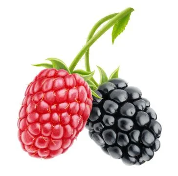 Raspberries Stock Photos