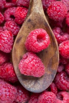 Raspberries Stock Photos
