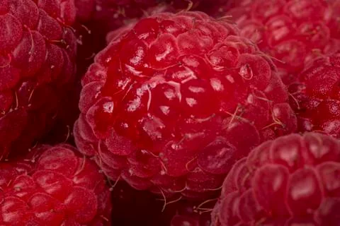 Raspberries Foto stock