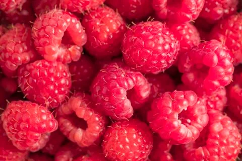 Raspberries Stock Photos
