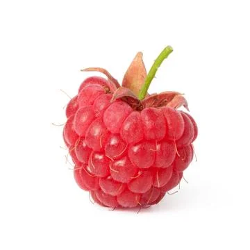 Raspberries Stock Photos
