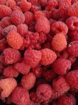 Raspberries Stock Photos