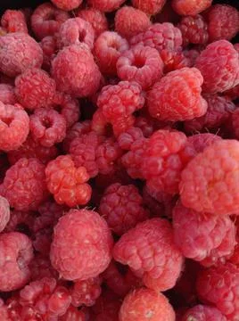 Raspberries 스톡 사진