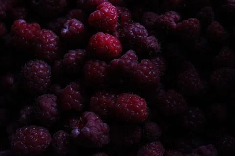Raspberries Stock Photos