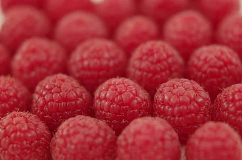 Raspberries Stock Photos