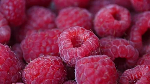 Raspberries piled close up filling frame on market display Stock Footage 331226488