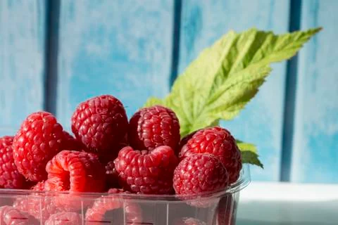 Raspberries in a plastic box Stock Photos