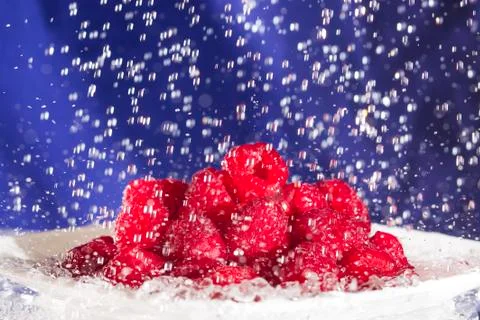Raspberries in the Rain Stock Photos