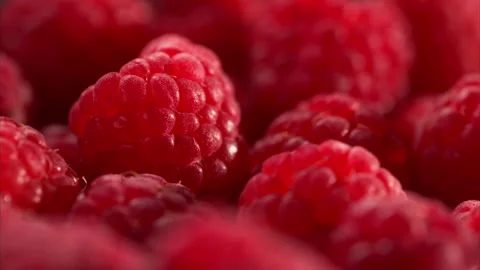 Raspberries revealed by warm light in dramatic macro. 스톡 동영상 328985501