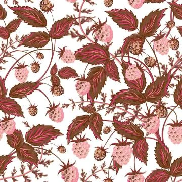 Raspberries seamless pattern with pink raspberry and brown leaves on white Stock Illustration