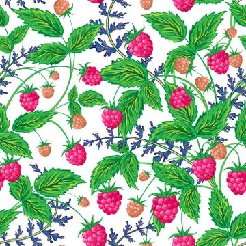 Raspberries seamless pattern with raspberry and leaves on white background Stock Illustration