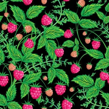 Raspberries seamless pattern with raspberry and leaves on black background Stock Illustration