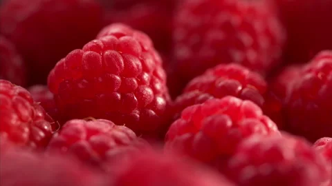 Raspberries with shimmering sunlight through trees. Stock Footage 328985602