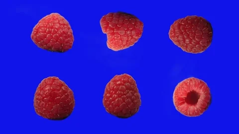Raspberries spinning, from different angles on blue screen for compositing, 4k 스톡 동영상 204741042