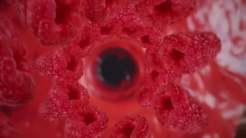 Raspberries spiraling and falling in the liquid smoothie slow motion Stock Footage 258516889
