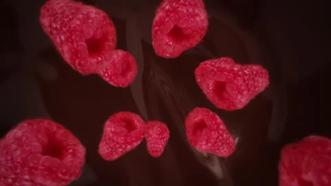 Raspberries spiraling and falling on a melting dark chocolate slow motion Stock Footage 258522703