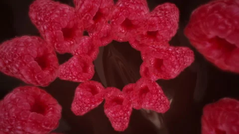 Raspberries spiraling and falling on a melting chocolate slow motion Stock Footage 258524393