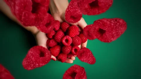 Raspberries spiraling and falling into person's hand full of berry fruit Stock Footage 258477845