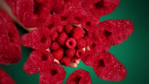 Raspberries spiraling and falling into person's hand full of berry fruit Stock Footage 258478244
