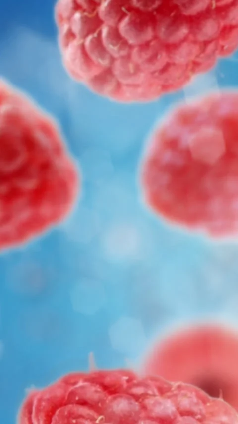 Raspberries tossed in the air falling down in slow motion with bokeh Stock Footage 255677360