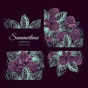 Raspberries vector brush Stock Illustration