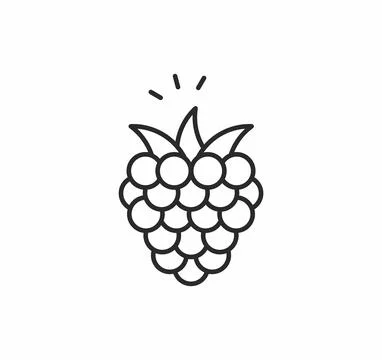 Raspberries vector icon Illustrazione stock