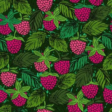 Raspberries vector ornament Stock Illustration