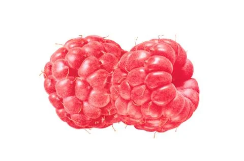 Raspberries on white background Stock Photos