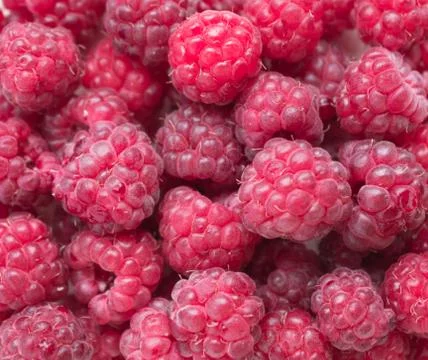 Raspberries on white background Stock Photos