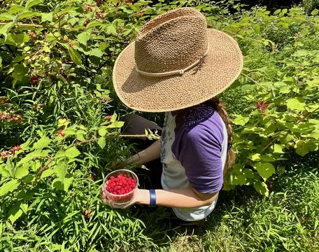 RaspberriesHat Stock Photos