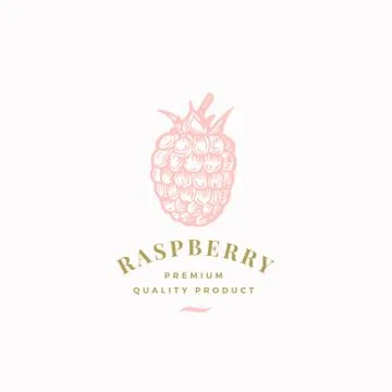 The Raspberry Abstract Vector Sign, Symbol or Logo Template. Hand Drawn Stock Illustration