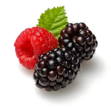 Raspberry and blackberries with leaf Stock Photos