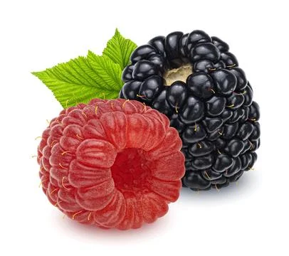 Raspberry and blackberry isolated on white background Foto stock
