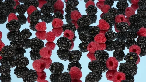 Raspberry and blackberry on light blue mirror. Side view. Stock Footage 182866392