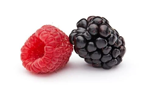 Raspberry and Blackberry Stock Photos