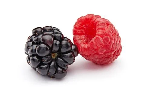 Raspberry and Blackberry Stock Photos