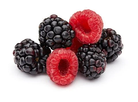 Raspberry and Blackberry Stock Photos