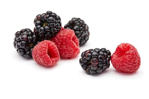 Raspberry and Blackberry Stock Photos